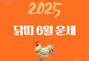 2025년 6월 『닭띠』 운세 썸네일