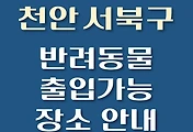 썸네일-천안시 서북구 강아지 출입 가능 식당, 카페, 펜션, 반려동물 애견 동반 관람, 체험, 여행지 안내