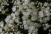 article_related_rep_thumbnail_link