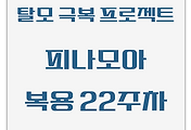 탈모 극복 프로젝트 | 내돈내산 | 피나모아 복용 22주차 관찰 후기 (두피사진 포함)