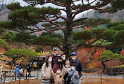 article_related_rep_thumbnail_link_1