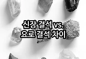 관련글이미지