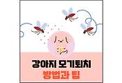 섬네일