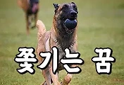 article_rep_thumbnail