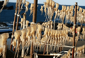 article_related_rep_thumbnail_link