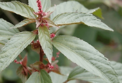 article_related_rep_thumbnail_link