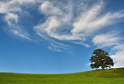 thumbnail6