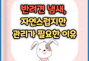 썸네일-/entry/%EB%B0%98%EB%A0%A4%EA%B2%AC-%EB%83%84%EC%83%88-%EC%9E%90%EC%97%B0%EC%8A%A4%EB%9F%BD%EC%A7%80%EB%A7%8C-%EA%B4%80%EB%A6%AC%EA%B0%80-%ED%95%84%EC%9A%94%ED%95%9C-%EC%9D%B4%EC%9C%A0