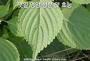 관련글이미지