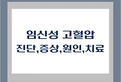 썸네일-is-DS/CT/FD