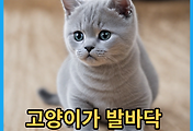 thumbnail6