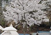 article_related_rep_thumbnail_link_1