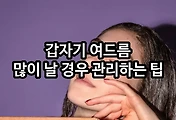 관련글이미지