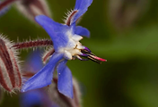 article_related_rep_thumbnail_link