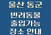 썸네일-울산 동구 반려동물 애견 출입 가능 식당, 카페, 펜션, 강아지 동반 관람, 체험, 여행지 안내