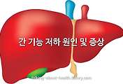관련글이미지