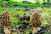 article_related_rep_thumbnail_link