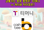 썸네일-교통카드 종류 총정리: 티머니 vs 캐시비 차이점은?