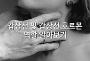 관련글이미지