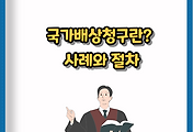 썸네일-국가배상청구란? 사례와 절차로 쉽게 이해하기