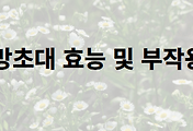 artticle-related-rep-link1