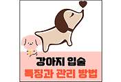 섬네일