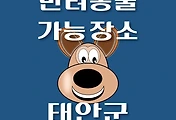 썸네일-태안군 강아지 출입 가능 식당, 카페, 펜션, 반려동물 애견 동반 관람, 체험, 여행지 안내