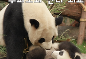 article related rep thumbail