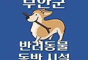 썸네일-부안군 반려동물 애견 출입 가능 식당, 카페, 펜션, 강아지 동반 관람, 체험, 여행지 안내