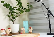 related list thumbnail