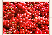 article_related_rep_thumbnail_link