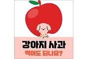 섬네일