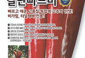 칼탄빠르미 고추 씨앗종자, 빠른 숙기와 강한 매운맛, 눈부신 수확의 기쁨!