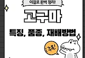 테스트5