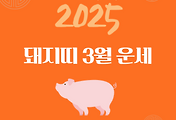 2025년 을사년 『돼지띠』 3월 운세 썸네일