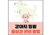 섬네일