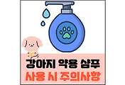 섬네일
