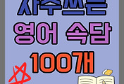 스킨이미지