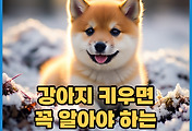 thumbnail6