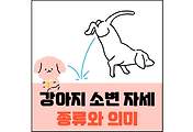 섬네일