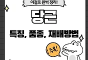 테스트5