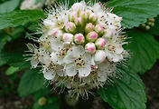 article_related_rep_thumbnail_link