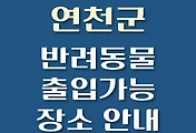 썸네일-연천군 반려동물 출입 가능 식당, 카페, 펜션, 강아지 동반 관람, 체험, 여행지 안내
