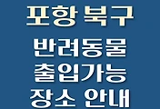 썸네일-포항시 북구 반려동물 출입 가능 식당, 카페, 펜션, 강아지 동반 관람, 체험, 여행지 안내