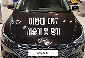 비교분석