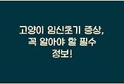 cover_item_thumbnail3