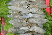 article_related_rep_thumbnail_link