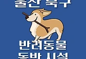 썸네일-울산 북구 강아지 출입 가능 식당, 카페, 펜션, 반려동물 애견 동반 관람, 체험, 여행지 안내