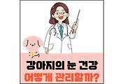 섬네일