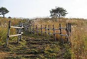 thumbnail6